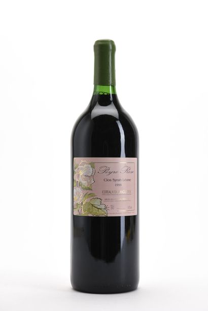 1 Mag COTEAUX DU LANGUEDOC CLOS SYRAH LEONE...