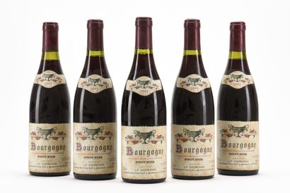 5 B BOURGOGNE PINOT NOIR Domaine Coche-Dury...