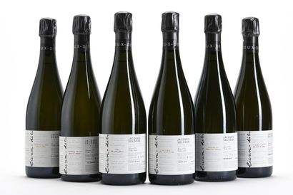 
CHAMPAGNE COLLECTION LIEUX-DITS COMPRENANT 6...