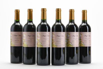 6 B COTEAUX DU LANGUEDOC SYRAH LEONE Domaine...