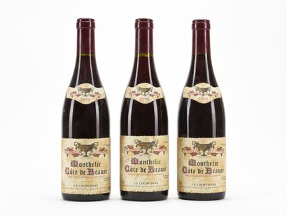 3 B MONTHELIE (2 e.l.a.) Domaine Coche-Dury...