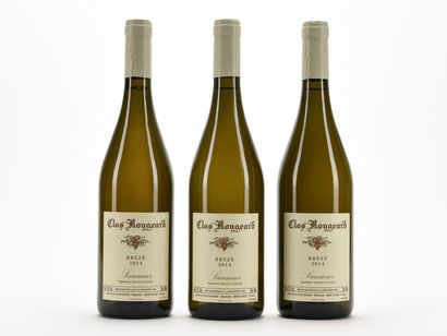 3 B SAUMUR BRÉZÉ Clos Rougeard 2014
