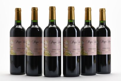 6 B COTEAUX DU LANGUEDOC SYRAH LEONE Domaine...