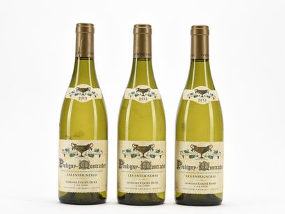 3 B PULIGNY-MONTRACHET LES ENSEIGNÈRES Domaine...