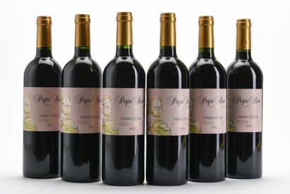 6 B COTEAUX DU LANGUEDOC SYRAH LEONE Domaine...