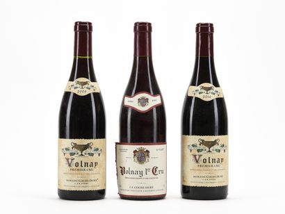 1 B VOLNAY (1er Cru) Domaine Coche-Dury 2004

1...