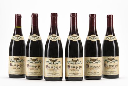 6 B BOURGOGNE PINOT NOIR Domaine Coche-Dury...
