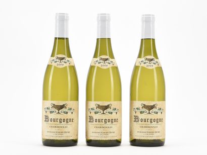 3 B BOURGOGNE CHARDONNAY Domaine Coche-Dury...