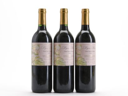 3 B COTEAUX DU LANGUEDOC CLOS SYRAH LEONE...