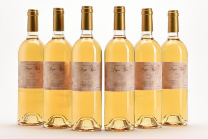 6 B COTEAUX DU LANGUEDOC ORO Domaine Peyre...