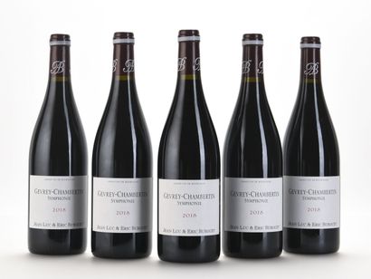 5 B GEVREY-CHAMBERTIN SYMPHONIE Domaine JL...