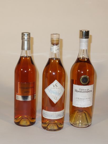1 B ARMAGNAC CÉLEBRATION 70 cl 40% Cadignan...