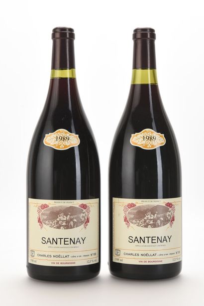 2 Mag SANTENAY Domaine Charles Noellat 1989

TVA...