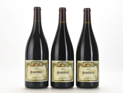 
2 Mag SANTENAY Jean-Charles Lecuyer 2004




1...