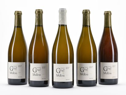 5 B RASTEAU Blanc Domaine Gourt de Mautens...