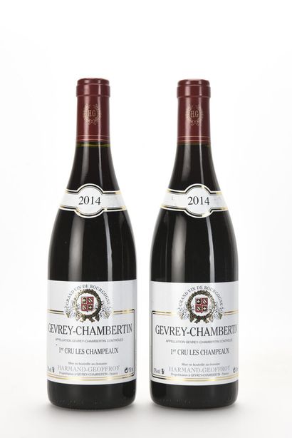 2 B GEVREY-CHAMBERTIN LES CHAMPEAUX (1er...