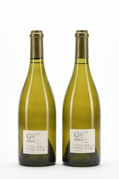 2 B RASTEAU Blanc Domaine Gourt de Mautens...