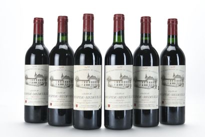 6 B CHÂTEAU RESPIDE-MÉDEVILLE Rouge (2 e.a.)...