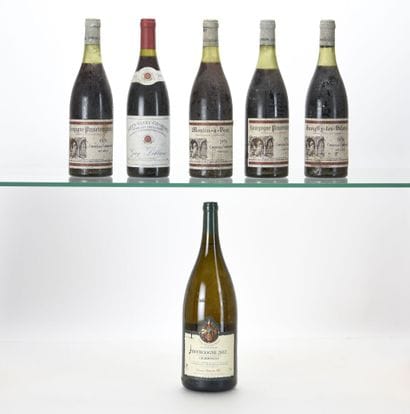 1 B NUITS ST-GEORGES LES ARGILLIÈRES (1er...