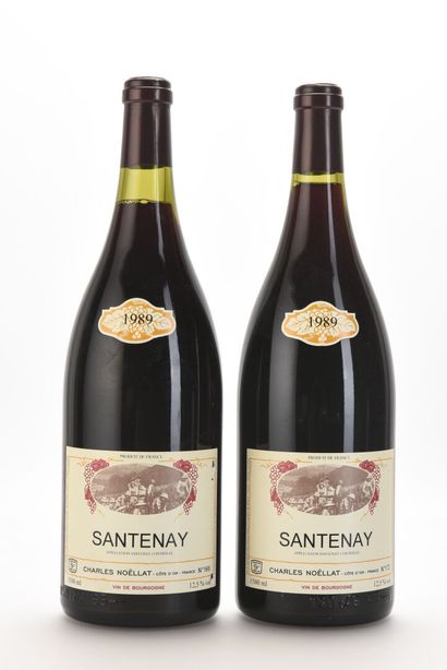 2 Mag SANTENAY Domaine Charles Noellat 1989

TVA...