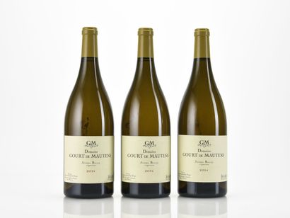 3 Mag I.G.P. DU VAUCLUSE Blanc Domaine Gourt...