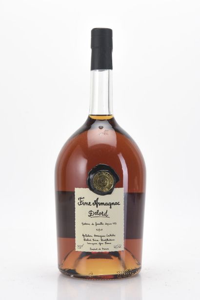 1 Mag FINE ARMAGNAC 150 cl 40% Delord NM

TVA...