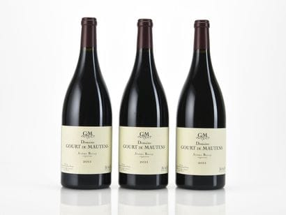 3 Mag I.G.P DU VAUCLUSE Rouge Domaine Gourt...