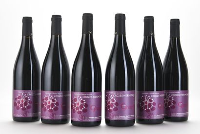 6 B CROZES-HERMITAGE CUVÉE GHANY Rouge Domaine...