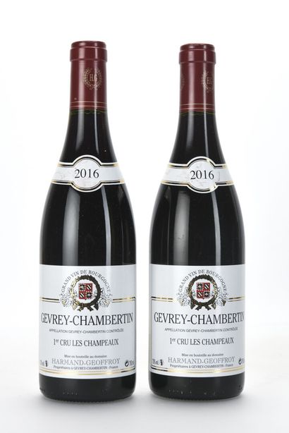 2 B GEVREY-CHAMBERTIN LES CHAMPEAUX (1er...