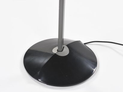 Fabio LOMBARDO (Né en 1942)

Lampadaire halogène...