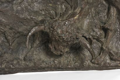 Magdanela REINHAREZ (1925-2012)

Taureau...