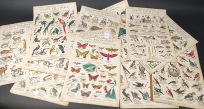 [Imagerie de Pont à Mousson]. Histoire Naturelle,...