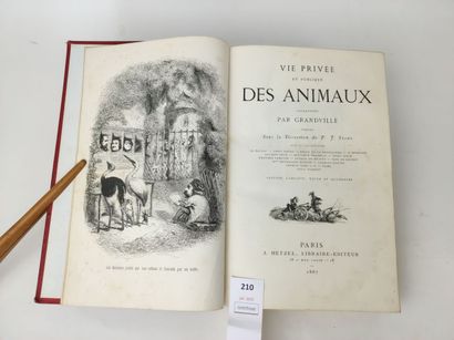 GRANDVILLE. Vie privée et publique des animaux....