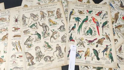 [Imagerie de Pont à Mousson]. Histoire Naturelle,...