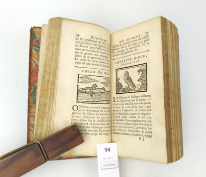 Histoire des animaux à l'usage des jeunes...