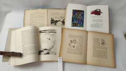 [Illustrés modernes]. 9 volumes :

En attendant...