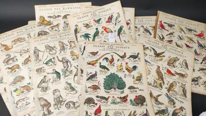 [Imagerie de Pont à Mousson]. Histoire Naturelle,...