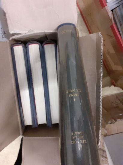 Lot de cartons de livres sur des artistes,...