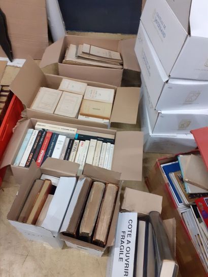 Lot de cartons de livres sur des artistes,...
