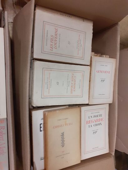 Lot de cartons de livres sur des artistes,...