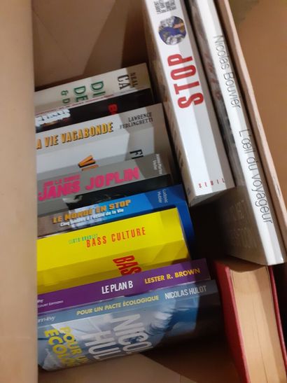 Lot de cartons de livres sur des artistes,...