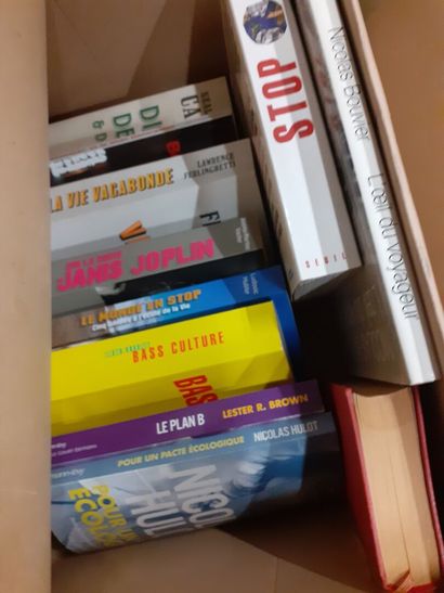 Lot de cartons de livres sur des artistes,...