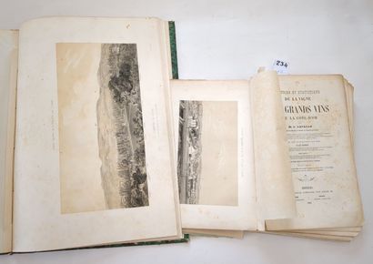 LAVALLE, Jean (docteur). Histoire et statistique...