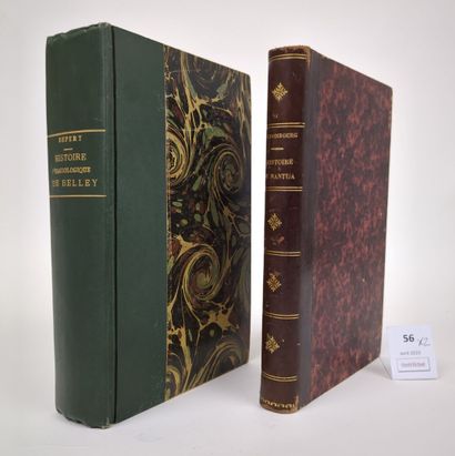 DEPERY (Jean-Irénée) : Histoire hagiologique...