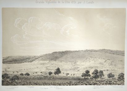 LAVALLE, Jean (docteur). Histoire et statistique...