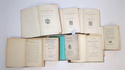 Un lot de 8 volumes sur l'AIN
(Ain). ANNUAIRE...