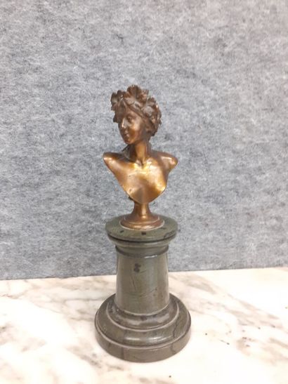 Faunesse, Buste en bronze sur un socle en...