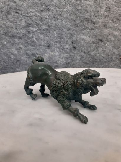 Caniche en bronze patiné
H : 6 cm 