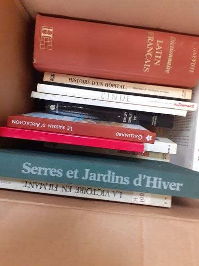 Un carton de livres divers dont le dictionnaire...