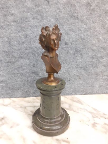 Faunesse, Buste en bronze sur un socle en...